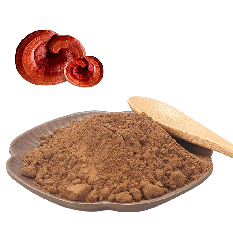 Mycelium Matrix Powder for Endurance and Focus